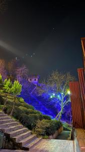 Loya Butik Otel Villa Bungalov