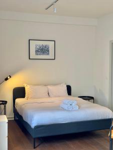 Bruxelles centre appartement Grand-place