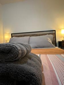 Cozy 1 BR Apartment Private Basement Entrance 5 min to Green Line T Station at Newton Boston