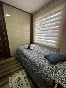 Alojamientos Golden chic