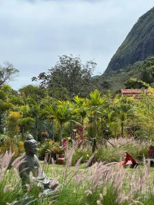 Suítes - Bromélias