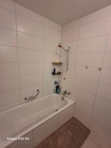 Mirami Appartement 1 Bedroom, 1 living room with Private Garage Parking & Basellandcard