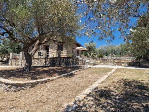 CasAle Leccino – Casale in pietra nel Cilento