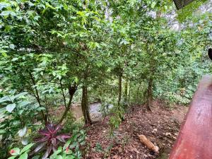 Campo Verde House, La Fortuna de San Carlos