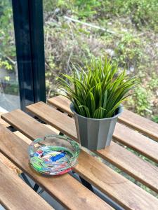 Cozy & Modern Apartment Near Everything