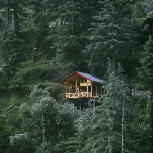 Hideaway Tree House