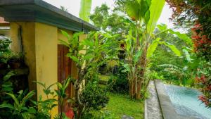 The Oding House
