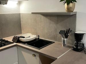 Studio confortable - 4 pers. - API-1-52-2047