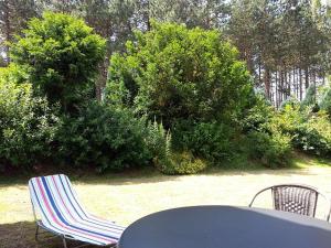 Haus-luett-Witthues-Whg-01