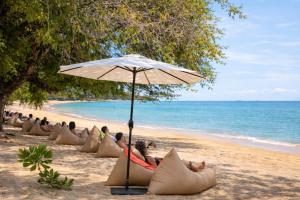 The Woods Beachfront Tent