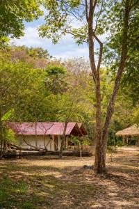 The Woods Beachfront Tent