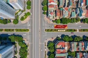 Hoa Mẫu Đơn 403TDHAI