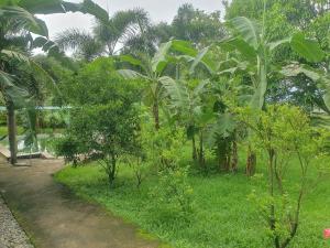 river view resort