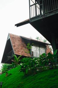 Wood Panda Luxury Resort Wayanad