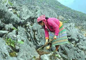 Hmong Village Homestay Mountain View & Trekking