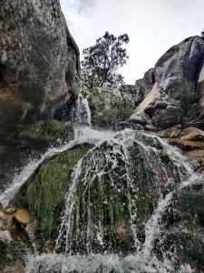 Tranquility - Cabin nestled in the mountains