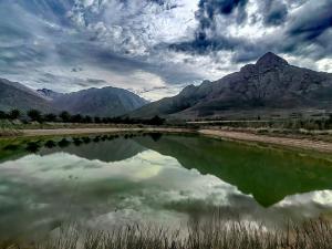 Tranquility - Cabin nestled in the mountains