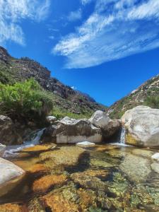 Tranquility - Cabin nestled in the mountains