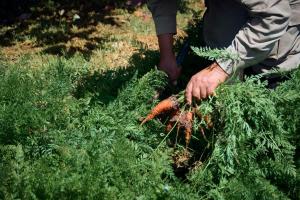 Tambo del Inka, a Luxury Collection Resort & Spa, Valle Sagrado