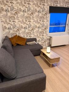 1 bedroom appartement in the center of Rotterdam