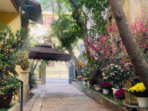 Carol Hanoi Oldquarter Hoan Kiem