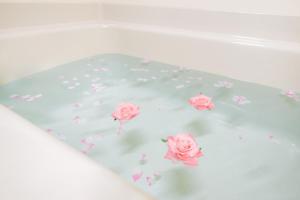 Mooie Room Dotonbori