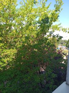 Sokoła Apartament DeLuxe 2 room free parking