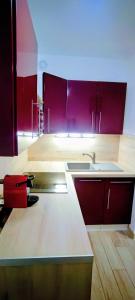 Charmant T2 RD jardin grande terrasse coeur ville plage 2 m clim garage wifi