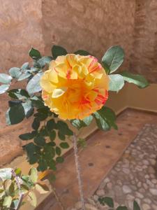 Villa AMMA, piscine chauffée