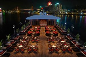 Cycad Grand Cruise
