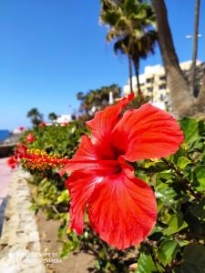 Playa del Ingles Los Molinos