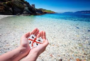 Matt Apartment 1 img18