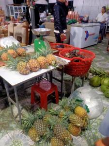 Dalat Pine Garden Inn