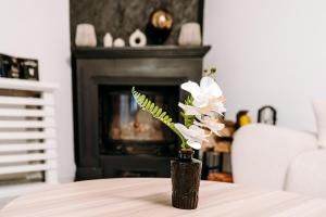 APARTAMENT OGRODOWA premium z ruską banią, kominkiem i oranżerią w centrum