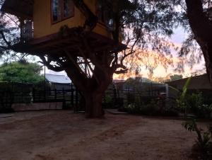 Cemara Paradise Homestay