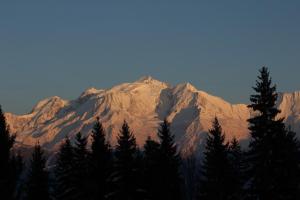 MontBlanc Horizon Cosy