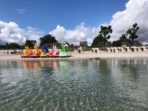 Ostseekrabbe Scharbeutz