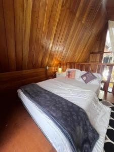 Cabin Hillside Dieng