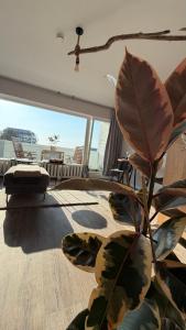 LUV & LEE Waterkant SPO - NEU NACH SANIERUNG