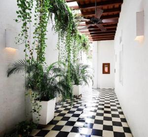Casa Emilia Boutique Hotel - Rooftop Pool & Centro Histórico