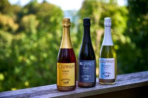 Traditional slovenian cottage Kozjanska domačija 1817 under UNESCO MaB