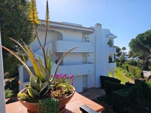 Sunny 1 bedroom in Monte B , Mijas Miraflores