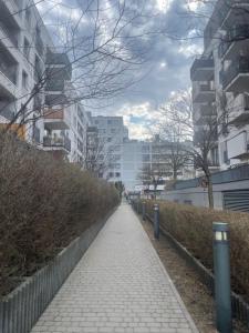 Charming apartment with garden