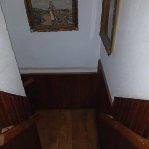 Valnet