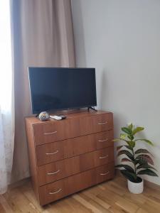 Sea Garden studio
