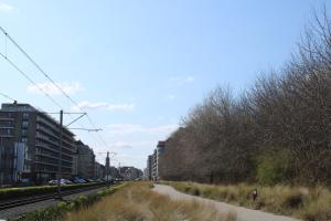 Studio Avondzon