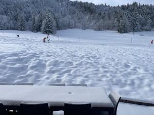 La Clusaz Ski aux pieds