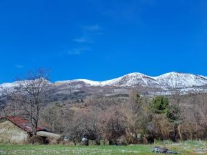 Le refuge coloré