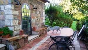 Lo Stollo 3 Sassetta-Tuscany