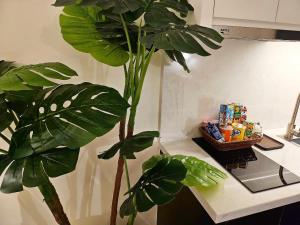 Our Home Homestay Hạ Long